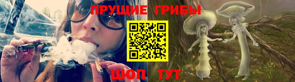Выкса  Галлюциногенные грибы MAGIC MUSHROOMS  Вход с VPN  Псилоцибиновые грибы GOLDEN TEACHER 